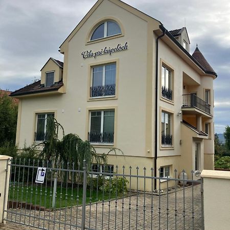 Vila Pri Kupeloch Bojnice Ngoại thất bức ảnh